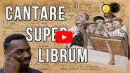 Lire la vidéo